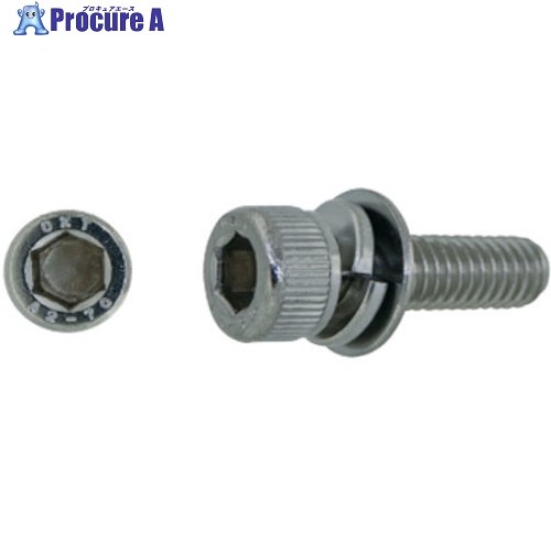 SUNCO ステンCAP P＝3 興津螺子釘製 6×20 (300本入) A0-02-903V-0060-0200-00 1箱 ■▼242-3505 【貨物輸送都度積もり書き】