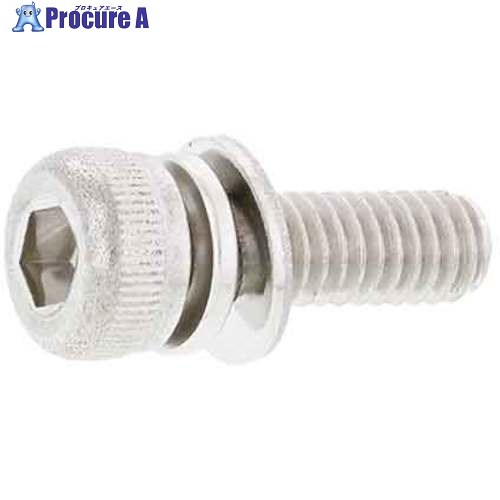 SUNCO ステンWA-SP(P＝4 アンスコ 2×4 (1000本入) A0-02-904A-0020-0040-00 1箱 ■▼242-5088 【貨物輸送都度積もり書き】 ボルト-DIY・工具-ネジ・釘・金属素材
