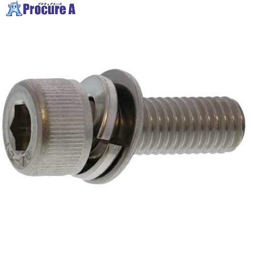 SUNCO ステンCAP P＝4 6×55 (100本入) A0-02-9040-0060-0550-00 1箱 ■▼242-6608 【貨物輸送都度積もり書き】