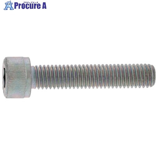 SUNCO SUS316L CAP 全ねじ釘 10X45X45 (100本入) A0-12-0010-0100-0450-00 1箱 ■▼243-1942 【貨物輸送都度積もり書き】