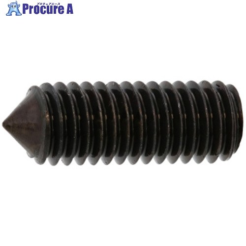 SUNCO BK ステンHS(トガリ先 5×5 (500本入) A0-02-5020-0050-0050-08 1箱 ■▼243-2799 【貨物輸送都度積もり書き】