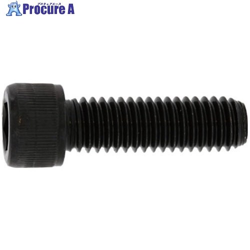 SUNCO ステンCAP(UNC11ヤマ5/8X3”1/4(1本入) A0-02-0030-8050-8320-00-1 1パック ■▼371-6361 【送料都度見積】|プロキュアエース
