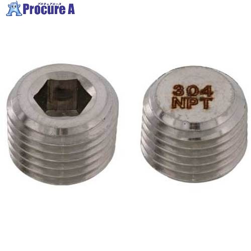 SUNCO SUS316L繋ぎ 分銅 NPT 1/4 (100本入) A0-12-5640-8020-0000-00 1箱 ■▼240-9756 【貨物輸送都度積もり書き】