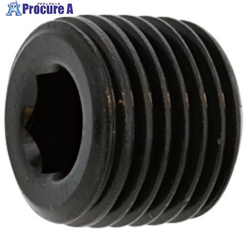 SUNCO SUS316L テーパープラグ 釣り浮き 3/8 (50本入) A0-12-5700-8030-0000-00 1箱 ■▼240-9828 【貨物輸送都度積もり書き】