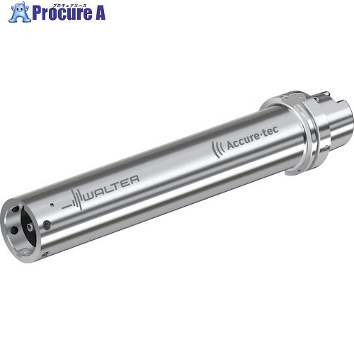 Walter HSK-T アダプタ ビビり押さえ付ける A3001-HSK-T A3001-H100T-QL60-541 1個 ■▼411-3841 【貨物輸送都度積もり書き】 ●O585