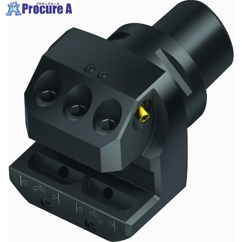 Walter Walter Capto TM ラジアルアダプター A2121-C...-P A2121-C6-25N-076-P 1個 ■▼411-9160 【送料都度見積】 ●O585