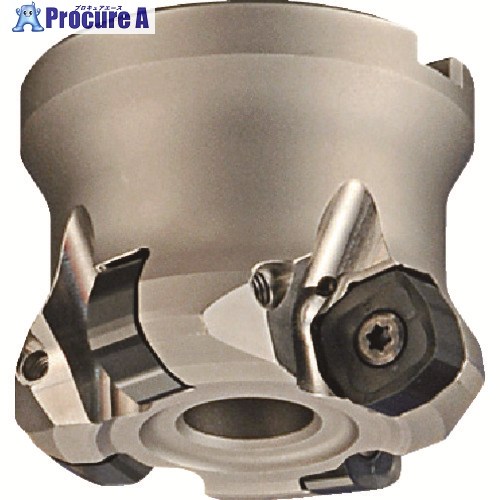 MOLDINO デュアルフェイスミル ASDF5125RM-6U ASDF5125RM-6U 1個 ▼823-0475 |プロキュアエース