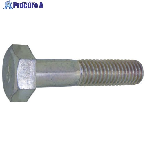 SUNCO 三価白いこと 8目じるしBT(半ねじ釘 8×110 (75本入) B0-00-8010-0080-1100-03 1箱 ■▼253-8418 【貨物輸送都度積もり書き】 ネジ・釘・金属素材-花・ガーデン・DIY-DIY・工具