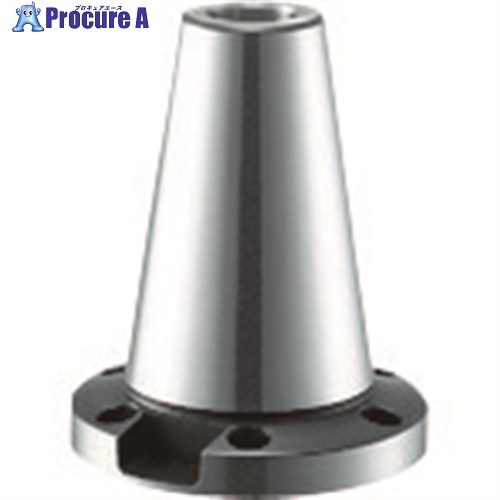 リューター h4スピンドル用テーパーシャンク B50 B50 1個 ■▼124-8556 【貨物輸送都度積もり書き】