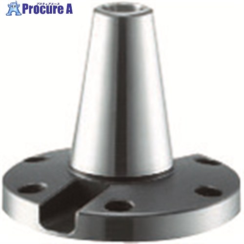 リューター h4スピンドル用テーパーシャンク B40 B40 1個 ■▼124-8557 【貨物輸送都度積もり書き】