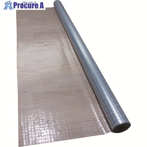 菊地 防虫糸入透明シート 205cm×30M BKO205030IT 1巻 ■▼193-3503 【送料都度見積】|プロキュアエース