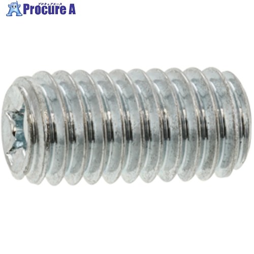 SUNCO SUS(＋)打ちきり螺子釘平先 6 X 15.0 (500本入) C1-02-0J10-0060-0150-00 1箱 ■▼377-4829 【貨物輸送都度積もり書き】