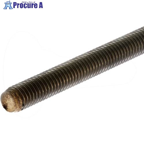 SUNCO チタン 寸切雄捩子 M10X1000 (1本入) C1-09-1000-0100-0000-00 1本 ■▼378-5625 【貨物輸送都度積もり書き】