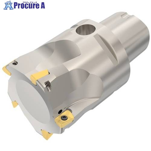 セコ フライス  ターボカッタ 切断機 C5-R217.69-054-10-5A 1個 ■▼489-7263 【貨物輸送都度積もり書き】