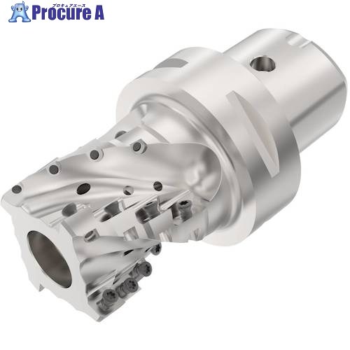 セコ フライス  ターボカッタ 截断機 C6-R217.69-050-044-12.4BAN 1個 ■▼490-2027 【貨物輸送都度積もり書き】