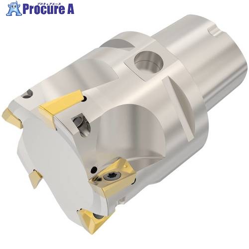 セコ フライス  ターボカッタ 切り手 C6-R217.69-066-18-5AN 1個 ■▼490-3600 【貨物輸送都度積もり書き】