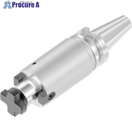 セコ ツーリング モノ立ちはだかる BT30AD-SM22-100-F3L1 1個 ■▼490-3813 【貨物輸送都度積もり書き】
