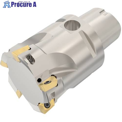 セコ フライス  ターボカッタ 切断機 C5-R217.69-054-12-5AN 1個 ■▼490-5119 【貨物輸送都度積もり書き】