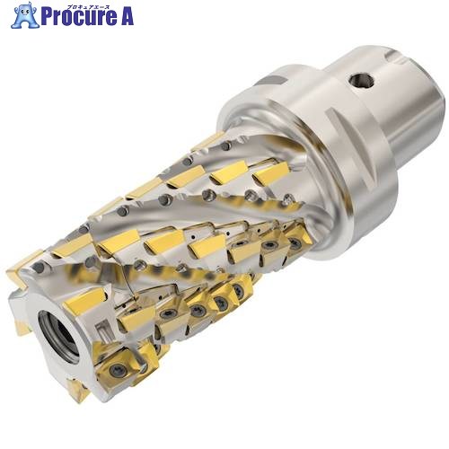 セコ フライス  ターボカッタ 切り手 C6-R217.69-050-086-12.5SAN 1個 ■▼490-6746 【貨物輸送都度積もり書き】