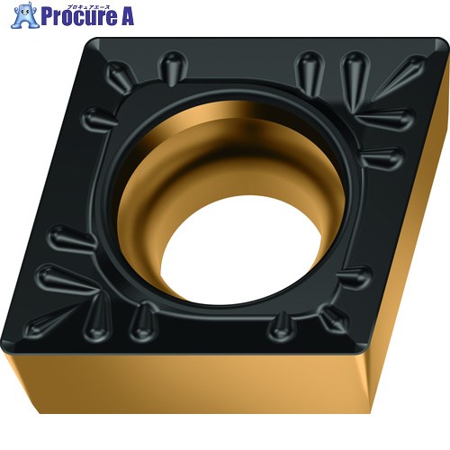 Walter 旋削加工用手当て 80°斜方形ポジ手合い WPP30G CCMT09T304-RP4  WPP30G 10個 ▼608-4357  ●O585