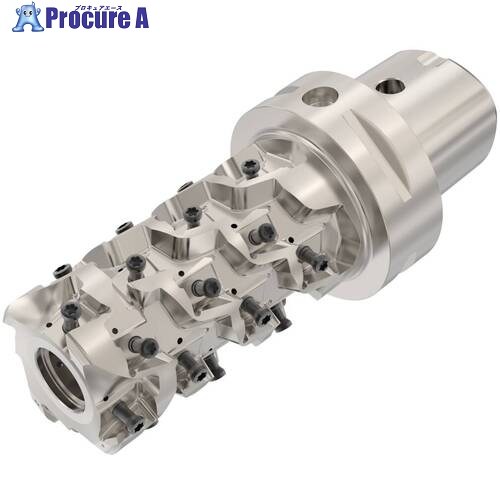 セコ SquareT4ーR217/220.94-12 メートル仕様 C6-R217.94-050-081-LO12.4SA 1個 ■▼679-7993 【送料都度見積】｜プロキュアエース