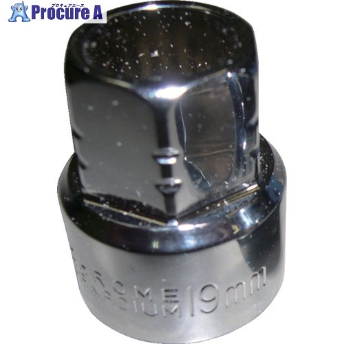 HASCO CP-93HS-19M クランクプーリーホールドレンチ専用ソケット 1 CP-93HS-19M 1個 ■▼853-1300 【貨物輸送都度積もり書き】 締付工具-ソケットレンチ用ソケット