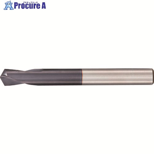 GUHRING NC斑点模様せん孔機120° レギュラ FIRE厚地の外套 25.4粍 F556 25.400 1本 ■▼182-2729 【貨物輸送都度積もり書き】