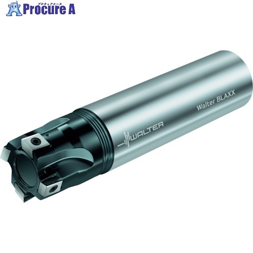 Walter 肩削り截断機 F5041.Z25.025.Z04.08 1個 ■▼228-6113 【貨物輸送都度積もり書き】 ●O585