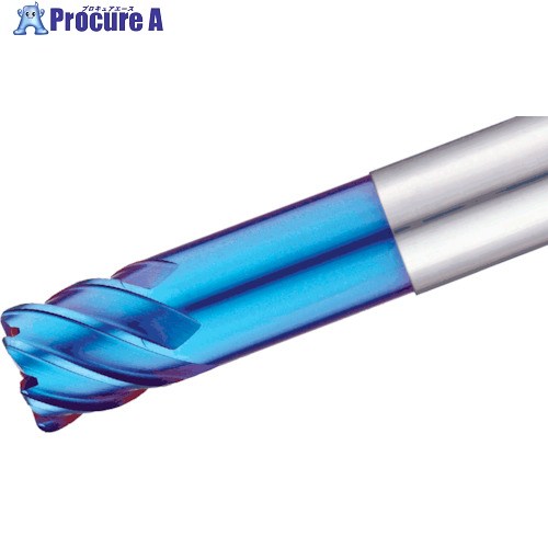 イスカル 6枚刃ソリッドエンドミル EC-B6-H IC702 EC-B610-22C10R1H100IC702 1本 ■▼339-5425 【送料都度見積】 ●O585 22,860円