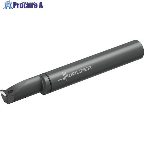 Walter ボーリングバー 内径溝加工 G4221...-P G4221-32SL-4T10-DX18-P 1個 ▼410-0039 ●O585｜プロキュアエース