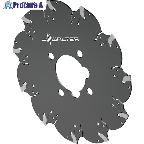 Walter 細長い切口および足がかり溝用切断機 F5055.B16.080.Z06.3、0 1個 ■▼410-9207 【貨物輸送都度積もり書き】 ●O585
