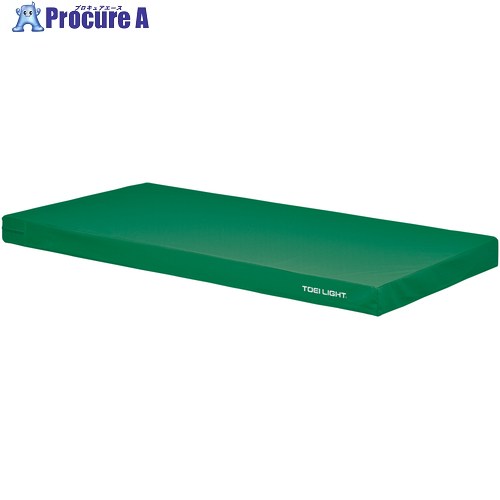 トーエイ点火装置 屋内用色合い引っ敷き10 G1809G 1枚 ■▼676-2316 【貨物輸送都度積もり書き】