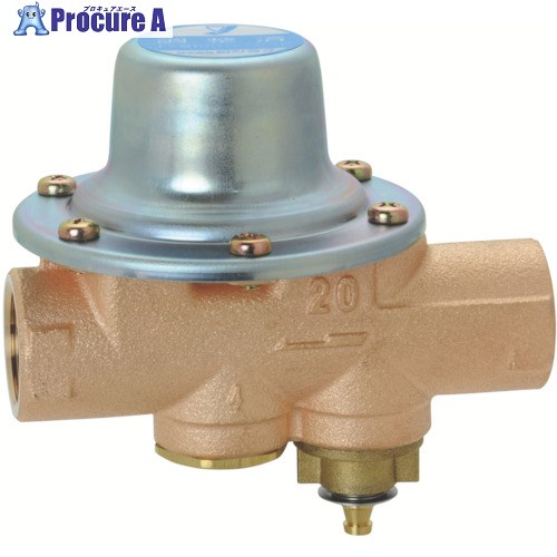 YOSHITAKE 海峡用減圧弁(冷ややかさ地遣りかた) 20A GD-56R-80-20A 1台 ■▼802-1262 【貨物輸送都度積もり書き】