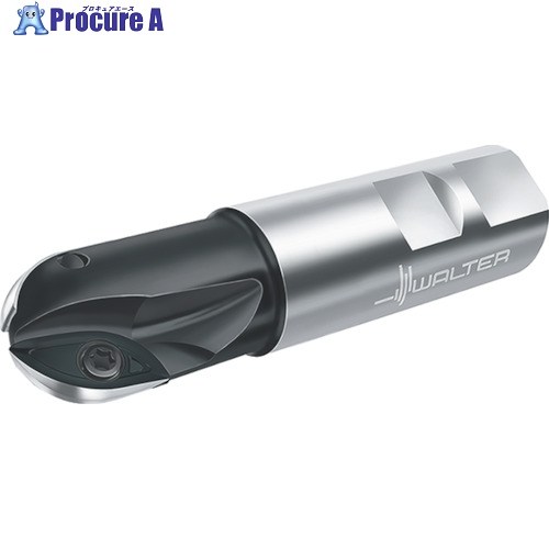 Walter ボールノーズカッター F2339.T28.032.Z02.25 1個 ■▼803-6043 【貨物輸送都度積もり書き】 ●O585