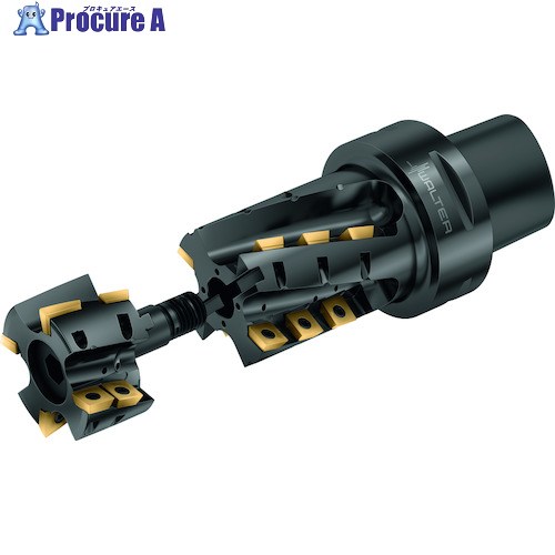 Walter ポーキュパインカッター M4258-080-C8-03-116-M 1個 ■▼411-1261 【貨物輸送都度積もり書き】 ●O585
