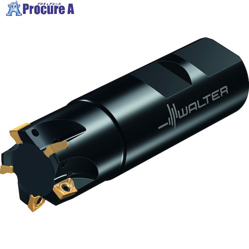 Walter 肩削りカッター M5130-Wウェルドンタイプ 5枚刃 M5130.019-W19-05-05 1個 ■▼411-2761 【送料都度見積】 ●O585