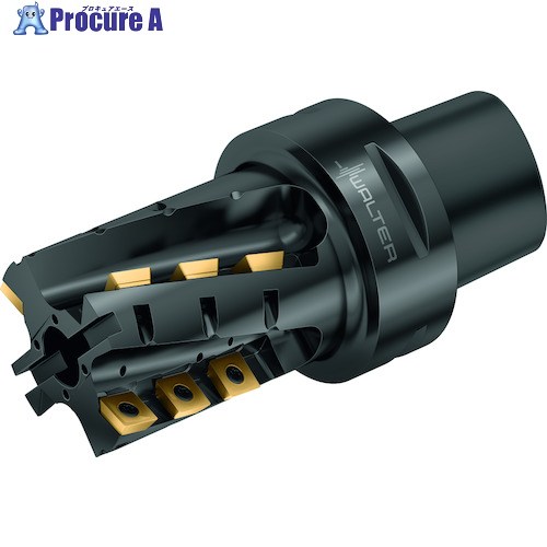 Walter ポーキュパインカッターボディ M4258-080-C8-03-80-B 1個 ■▼411-5986 【貨物輸送都度積もり書き】 ●O585