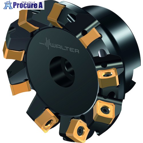 Walter フェイスミルカッター M5009-Bボア穴印字機 M5009.064-B26-07-05 1個 ■▼411-6083 【貨物輸送都度積もり書き】 ●O585