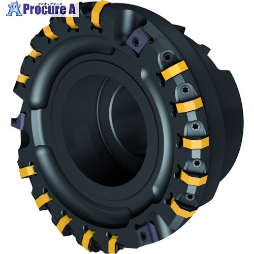 Walter 仕上用オクタゴンフェースミルカッター M2026-250-B60-33-03 1個 ■▼412-0419 【貨物輸送都度積もり書き】 ●O585