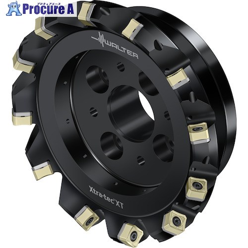 Walter フェイスミルカッター M5009-Bボア穴印字機 8枚刃 M5009-160-B40-08-06-AP 1個 ■▼412-4030 【貨物輸送都度積もり書き】 ●O585
