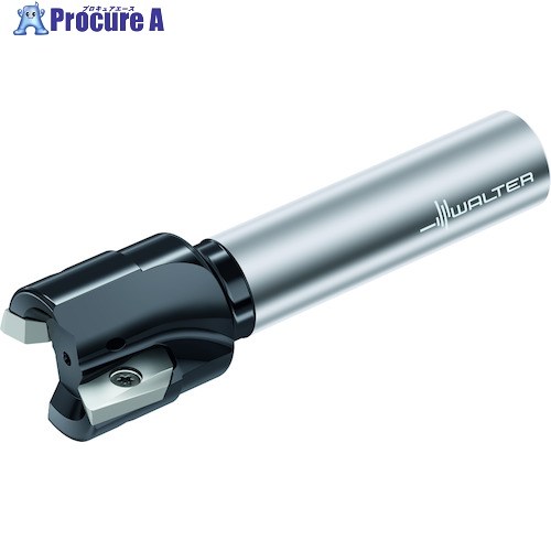 Walter ランピングカッター M2131.038-A31-03-15-L 1個 ■▼412-5076 【貨物輸送都度積もり書き】 ●O585