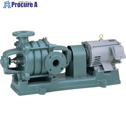 TERAL M型多段揚水機 50サイクル M40-2-1 (50HZ) 1台 ■▼722-3269 ※人間宅様送ること不可
