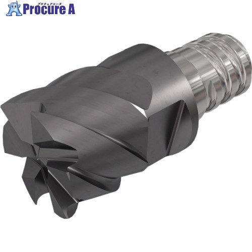 イスカル マルチマスター 高硬度鋼加工ヘッド MM EC-D IC903 MM EC120D09C01-6T08 IC903 2個 ▼124-3358 ●O585｜プロキュアエース