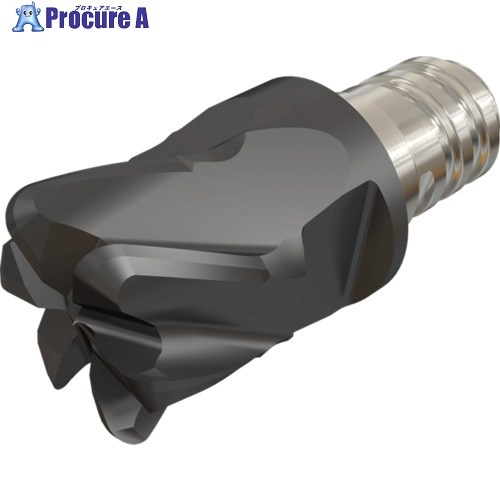 イスカル マルチマスター加工ヘッド 6枚刃 トライダル7° 逃げ付き IC903 MM ETR100A5R10CF-6T06 IC903 2個 ■▼125-1283 【送料都度見積】 ●O585