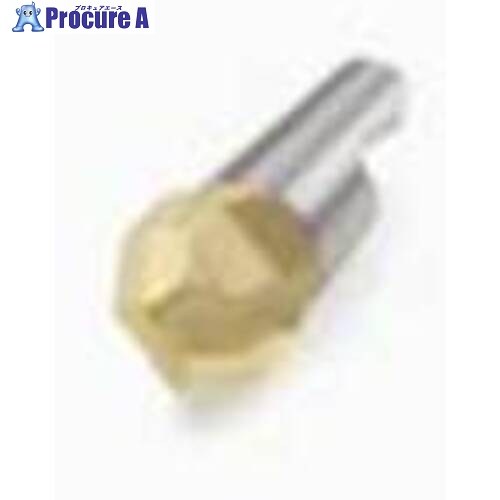 セコ フライス ミニマスターヘッド MM10 T60M MM10-10008-6040-E03  T60M 2個 ▼436-0581