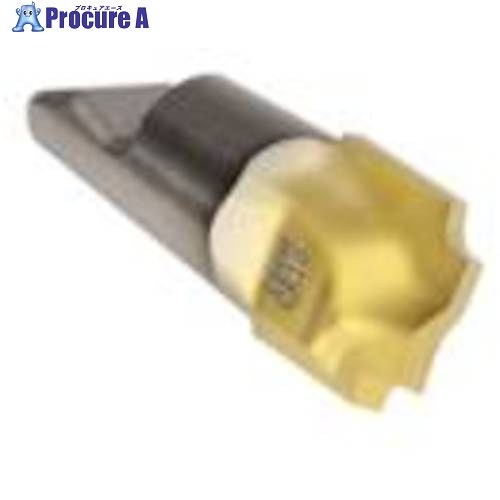 セコ フライス ミニマスターヘッド MM12 T60M MM12-12010-CR10-MD05 T60M 2個 ▼436-0606 ｜プロキュアエース
