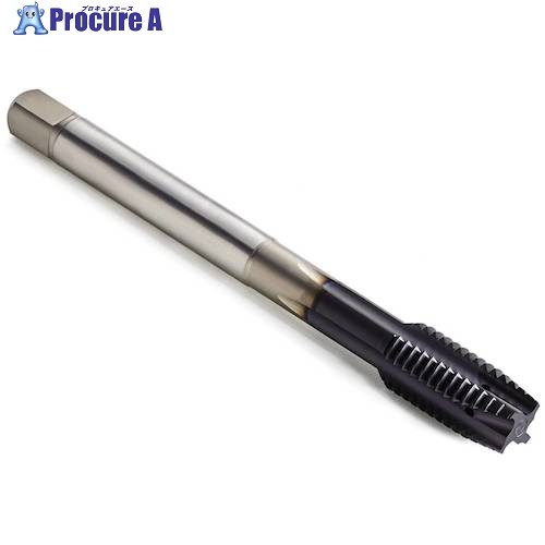 セコ 水道栓 MTP-M12X1.75ISO6HX-結核症-P004-A 1個 ■▼488-7828 【貨物輸送都度積もり書き】