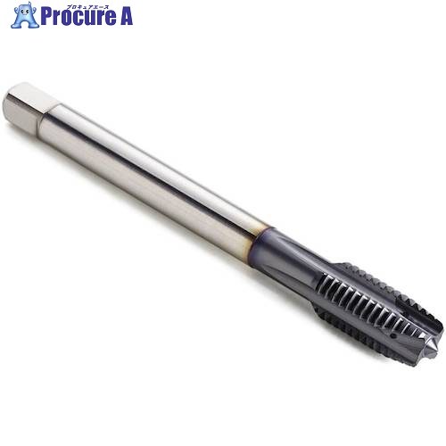 セコ 水道栓 MTP-M12X1.75ISO6H-肺結核-M004-A 1個 ■▼490-6831 【貨物輸送都度積もり書き】