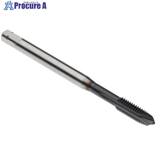 セコ 水道栓 MTP-M2.2X0.45ISO6HX-肺結核-P003 1個 ■▼490-9873 【貨物輸送都度積もり書き】