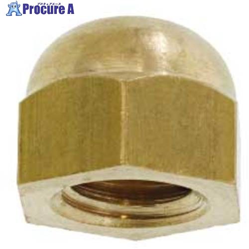 SUNCO ニッケル BS 袋ナット (カドミレス M3(6X5 (2000本入) N0-01-00C0-0030-0000-05 1箱 ■▼497-2814 【送料都度見積】｜プロキュアエース